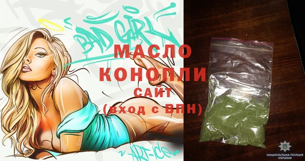 гашик Карпинск