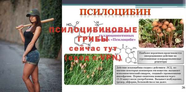 прущие крисы Каменногорск