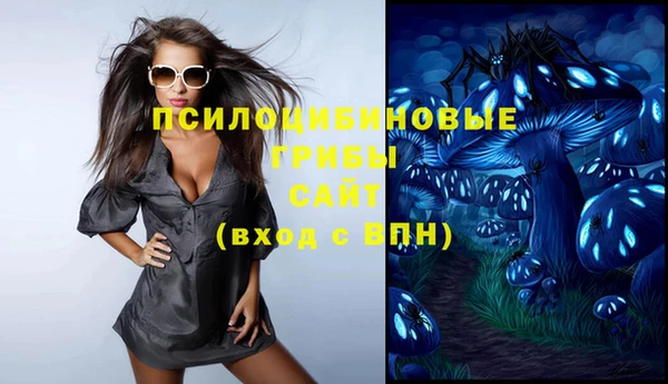 прущие крисы Каменногорск