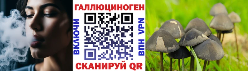купить наркотики цена  Владивосток  Псилоцибиновые грибы прущие грибы 
